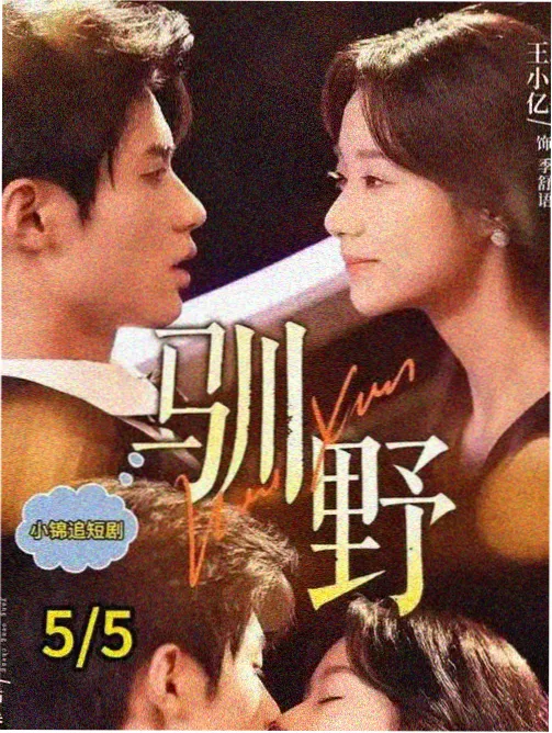 在线观看韩剧《江南合租日记》都市生活剧海报